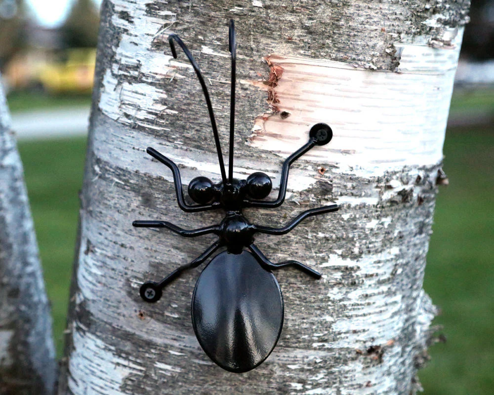 Metal Ant Family: Wall-mounted Metal Art Ants (2 Large Ants + 2 Small Ants) - Image 4