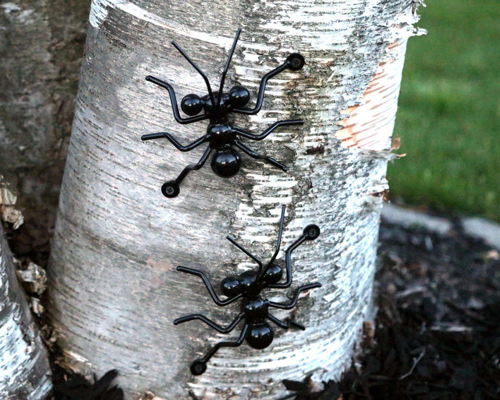 Metal Ant Family: Wall-mounted Metal Art Ants (2 Large Ants + 2 Small Ants) - Image 6