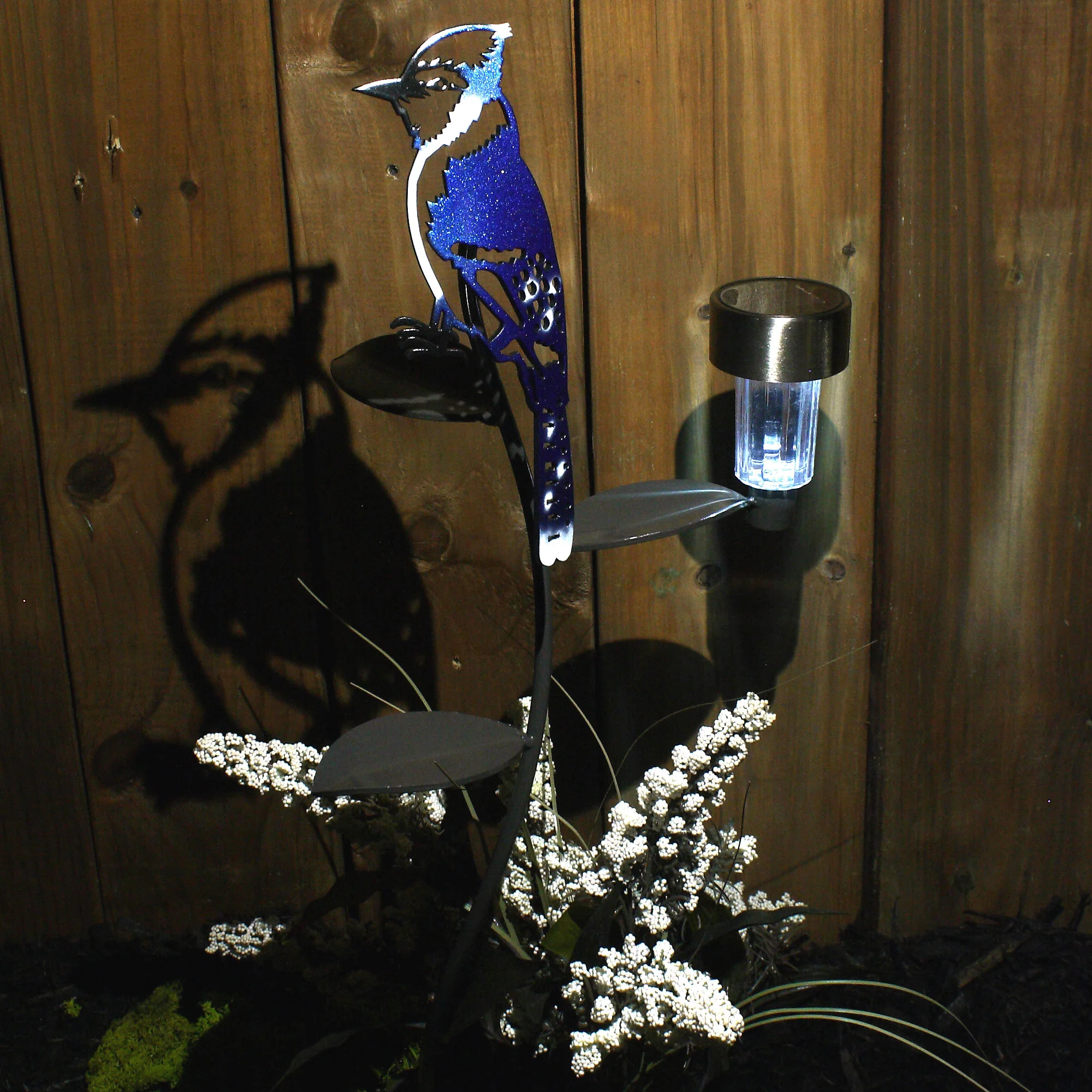 Blue Jay with solar light - Image 3