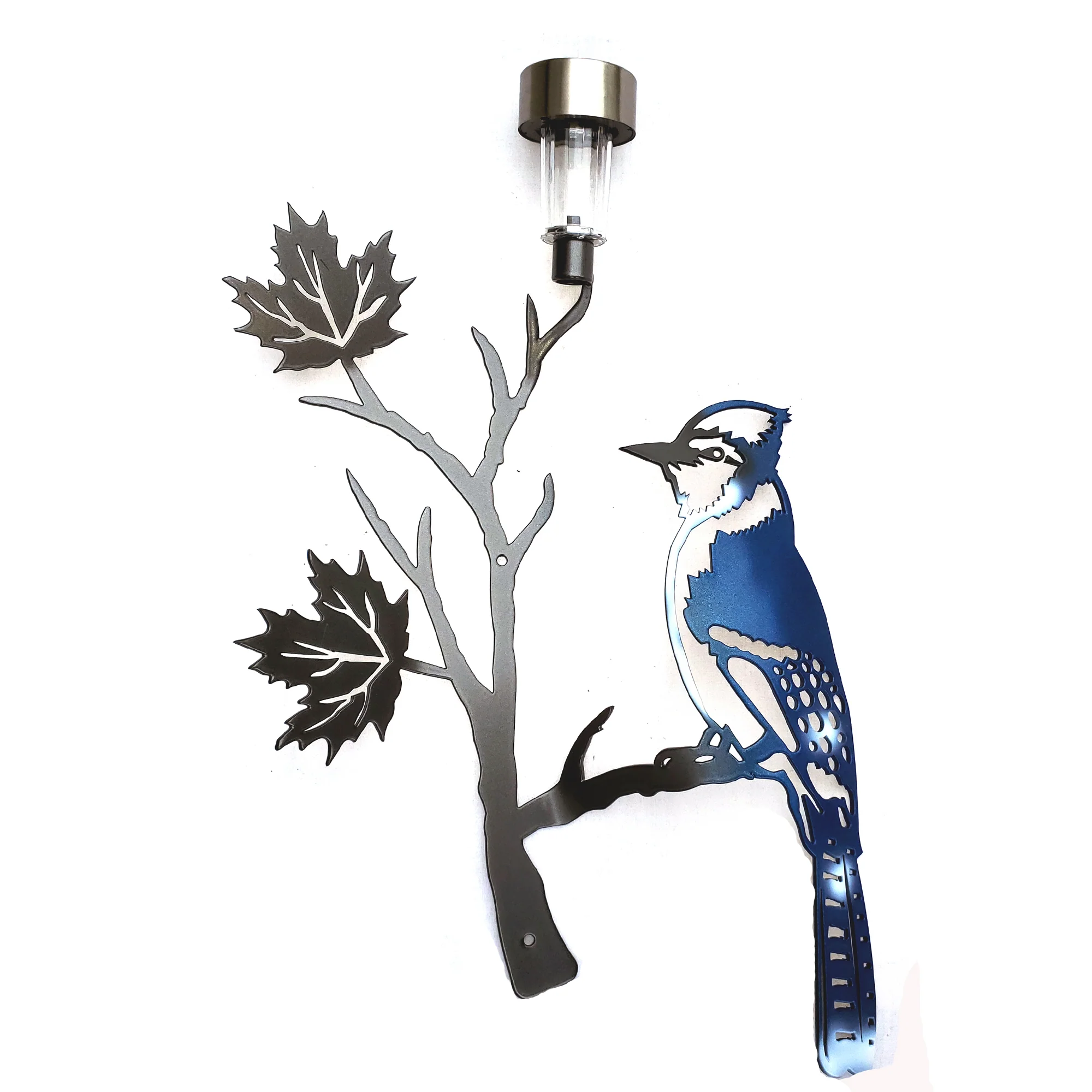 Blue Jay on maple leaf branch with solar light - Image 3