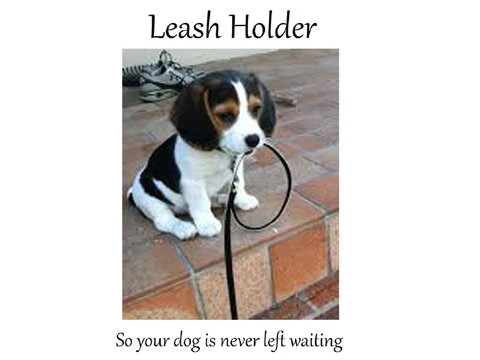 Dog leash holder metal wall art for pet lovers! - Image 3