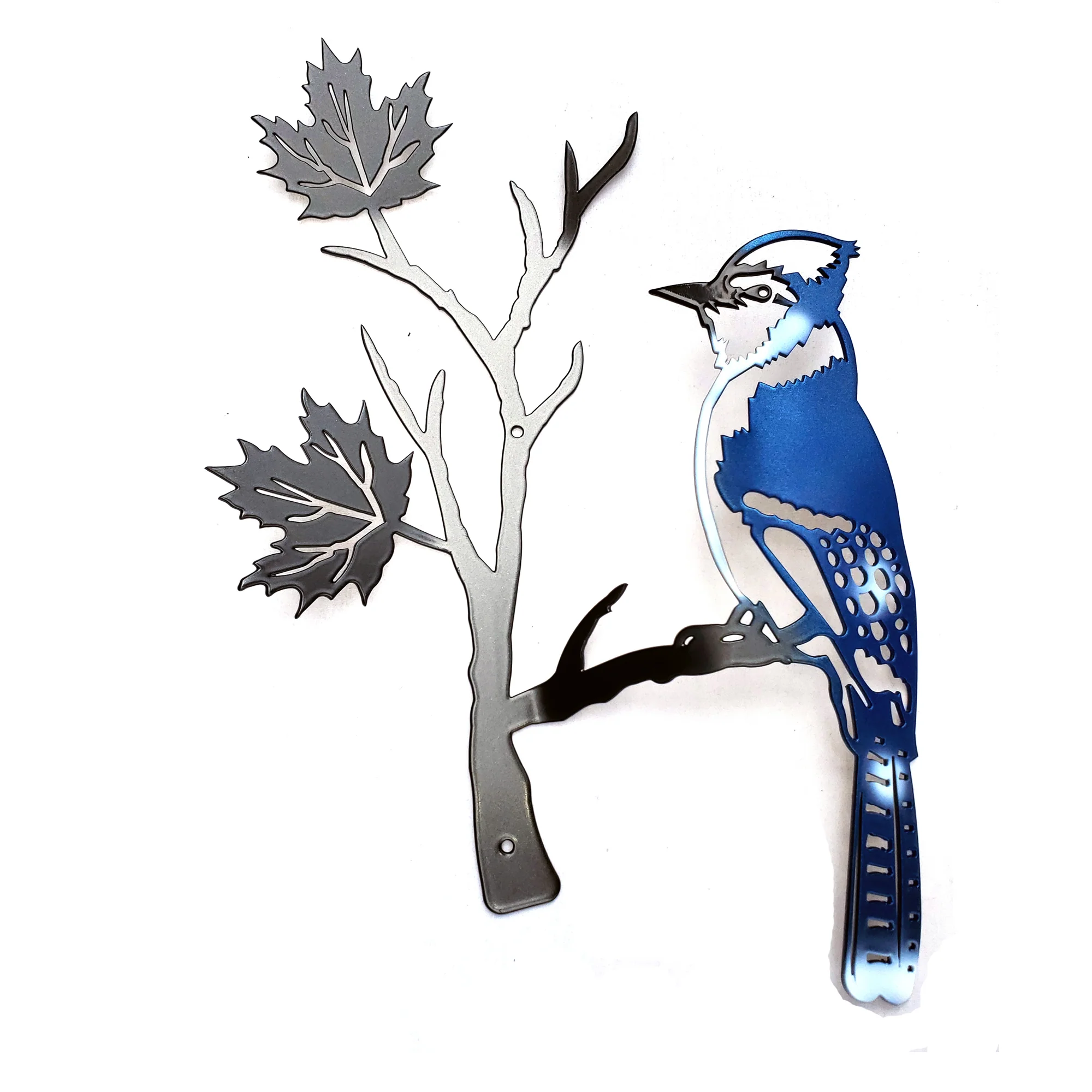 Blue Jay perched on a maple leaf branch - Image 2