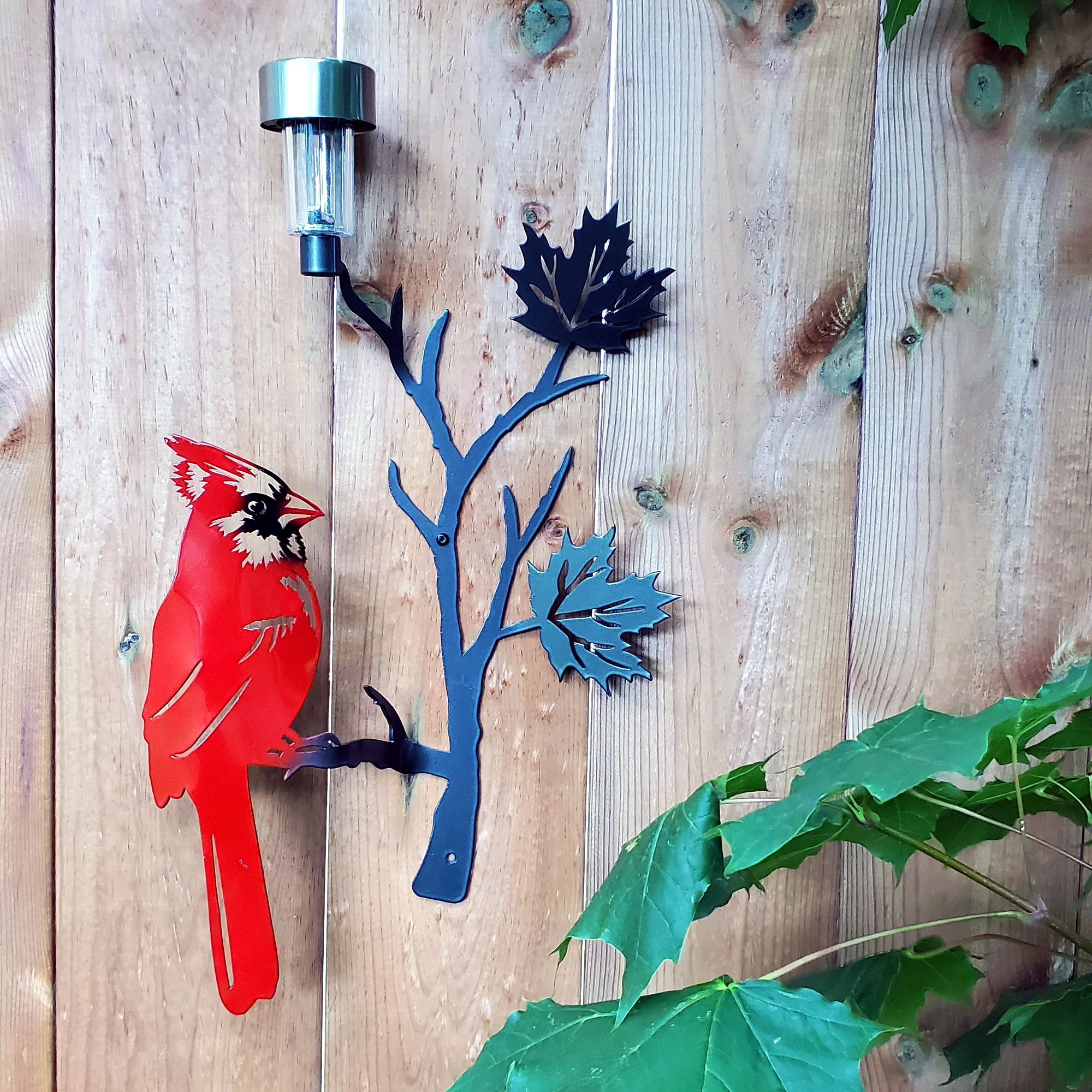 Red cardinal perched on a maple leaf branch with solar light - Image 3
