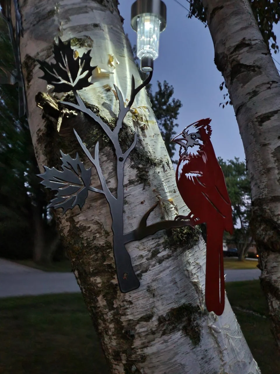 Red cardinal perched on a maple leaf branch with solar light - Image 4