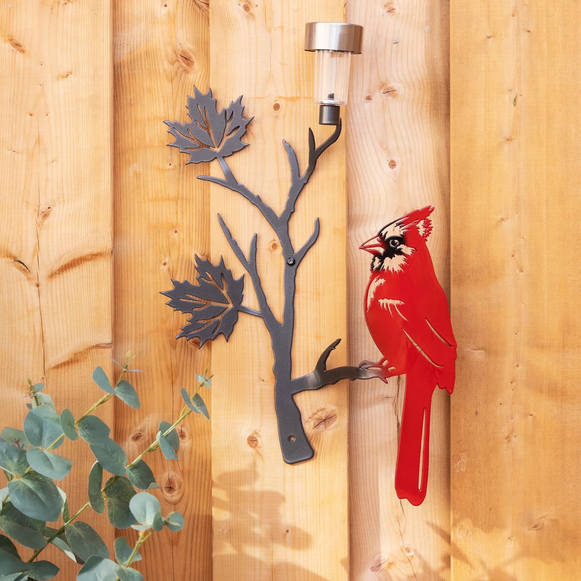 Red cardinal perched on a maple leaf branch with solar light - Image 5